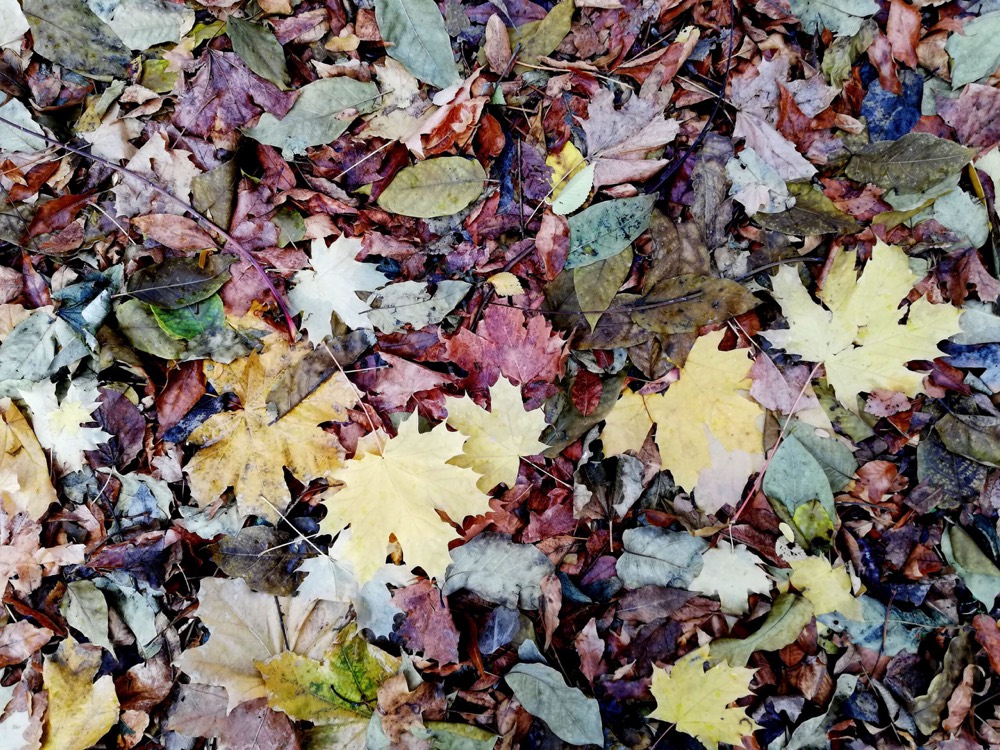 Here’s what you might have missed in October 2020.