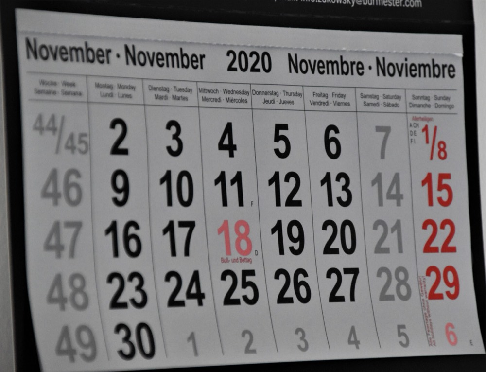 Here’s What You Might Have Missed In November…
